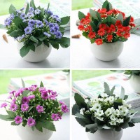 36 Heads Artifical Silk Flowers Bouquet Orchid Home Wedding Party Decor 8 Colors   352431294287